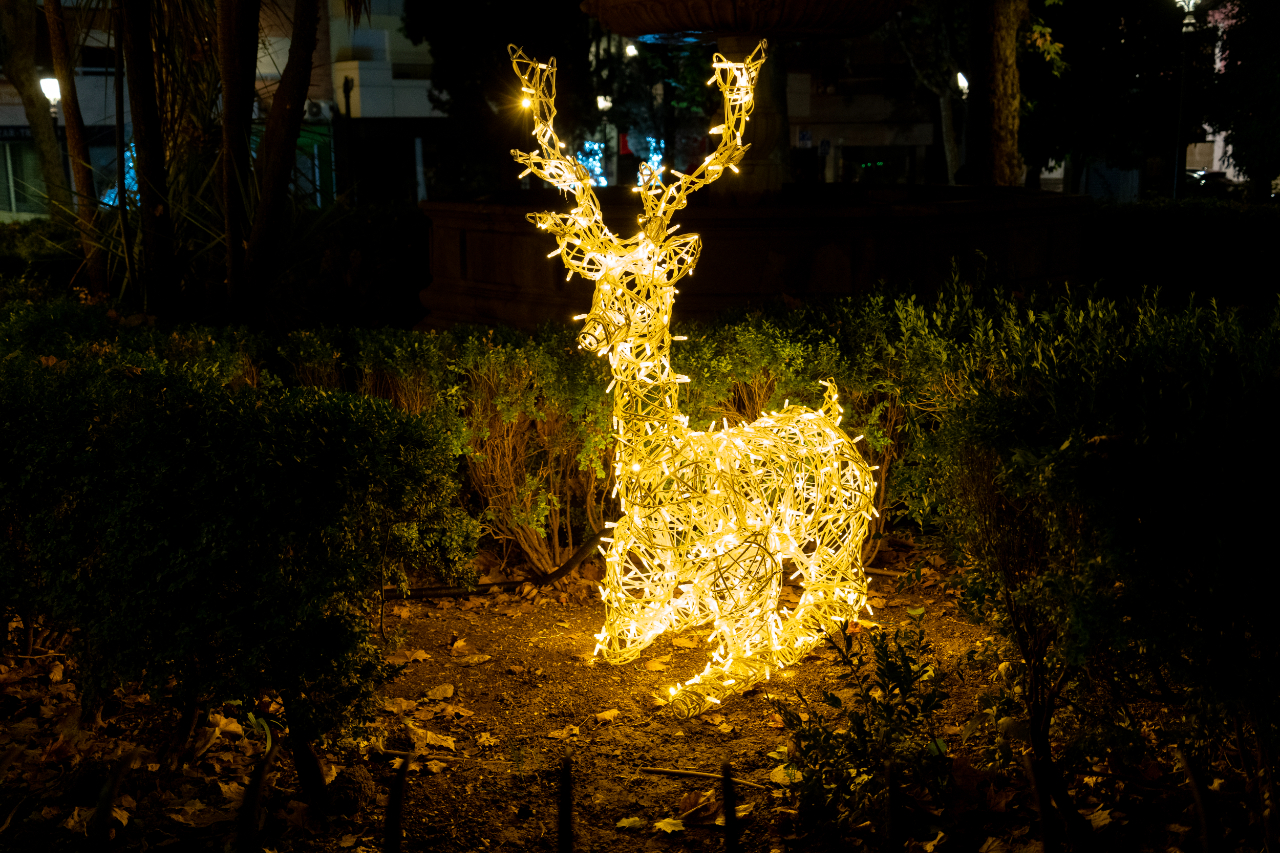 Granada es una ciudad verdaderamente bonita, más cuando las luces de colores y el olor a castaña asada deleitan cada rincón de las calles. Probar estas últimas, además, es una de las cosas que no puedes perderte si viajas a Granada en invierno.  Si tu llegada a Granada es en el puente de diciembre (sobre el 6 y el 8), lo más seguro es que veas la ciudad con la decoración navideña. Con el frío apretando, te aconsejo que hagas alguna parada en tu ruta para comer unos churros con delicioso chocolate caliente.  Las canciones y conciertos de villancico y los belenes, así como campanas de la plaza, las fiestas y los cotillones, traerán la cálida atmósfera que con gusto recibirá a muchos turistas y personas locales.  Asimismo, la decoración navideña incluye una noria para sentarse y contemplar la vista de Granada en las alturas.