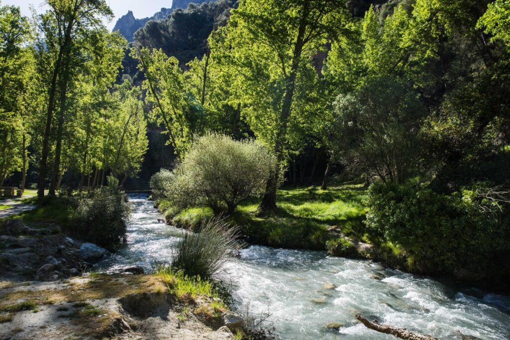 ¿Qué hacer en Granada en abril? Guía completa con planes, eventos y lugares imprescindibles 12 ¿Qué hacer en Granada en abril? Guía completa con planes, eventos y lugares imprescindibles 11
